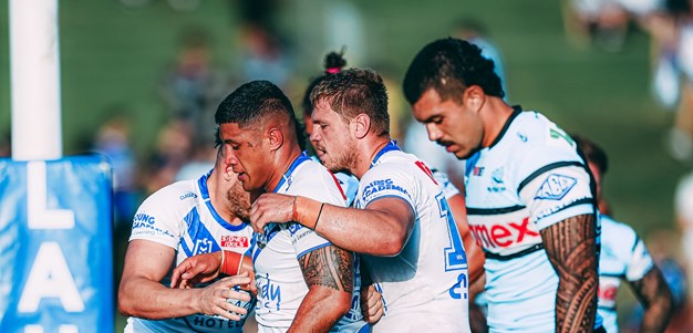 Brown bounds over for the Bulldogs