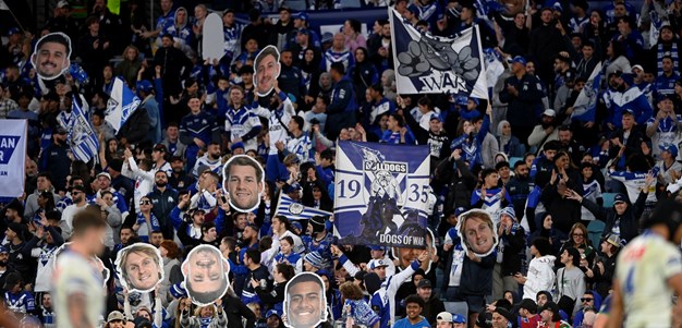 Members Appreciation Week: Bulldogs celebrating our Breed