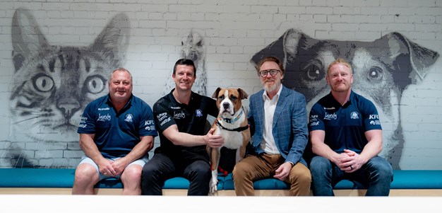 Bulldogs Adopt RSPCA NSW as Community Partner